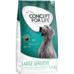 1,5kg Large Sensitive Concept for Life Hundefutter trocken