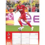 Dumont 1. FC Köln Wandkalender mit Köln-Motiv aus Papier Hochformat 