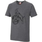 Graue 1. FC Köln T-Shirts mit Köln-Motiv aus Baumwolle für Herren Größe XXL 