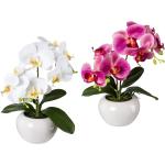 Pinke Künstliche Orchideen 