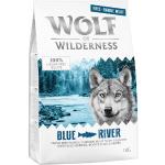 1 kg WOLF OF WILDERNESS Adult Getreidefreies Hundefutter mit Lachs 