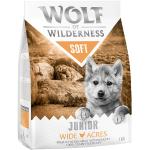 1 kg WOLF OF WILDERNESS Junior Trockenfutter für Hunde mit Huhn 