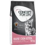 10 kg Maine Coon Kitten Concept for Life Trockenfutter für Kätzchen