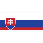 Slowakei Flaggen & Slowakei Fahnen 10-teilig 