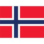 Norwegen Flaggen & Norwegen Fahnen 10-teilig 