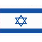 Israel Flaggen & Israel Fahnen 100-teilig 