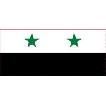 Syrien Flaggen & Syrien Fahnen 100-teilig 
