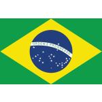 Brasilien Flaggen & Brasilien Fahnen 100-teilig 
