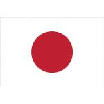 Japan Flaggen & Japan Fahnen 100-teilig 