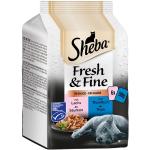 Sheba Fresh & Fine Katzenfutter nass mit Truthahn 