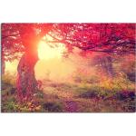 120x80cm Wandbild Wald Bäume Wiese Herbst Sonnenlicht