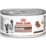 Royal Canin Veterinary Diet Recovery Hundefutter nass 