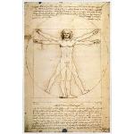 Weiße 1art1 Leonardo Da Vinci Kunstdrucke aus Papier mit Rahmen 