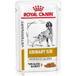 1x100 g HUND Royal Canin Urinary S/O Moderate Calorie