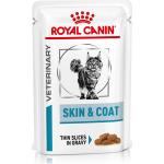 1x85 g Royal Canin Skin & Coat - Katze