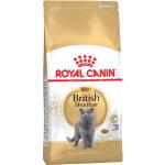 2 kg British Shorthair Adult Royal Canin Katzenfutter trocken