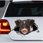 Autoaufkleber mit Schweinemotiv aus Vinyl 