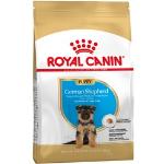 12 kg Royal Canin Breed Trockenfutter für Hunde 