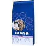 Iams Pro Active Trockenfutter für Katzen mit Huhn 