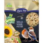 20 kg Lyra Pet® Erdnusskerne in Schoten HK Südamerika