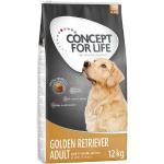 2x12 kg Golden Retriever Adult Concept for Life Hundefutter trocken