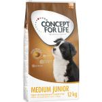 2x12g Medium Junior Concept for Life Hundefutter trocken