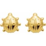 Goldene Marienkäfer Ohrringe mit Insekten-Motiv aus Gelbgold für Damen 