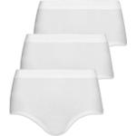 Weiße Pompadour Basic-Slips aus Baumwolle für Damen 3-teilig für den für den Winter 