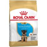 3 kg Royal Canin Breed Trockenfutter für Hunde 