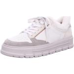 Graue Paul Green Vegane Low Sneaker mit Schnürsenkel aus Glattleder für Damen Größe 37,5 für den für den Winter 