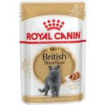 Royal Canin British Shorthair Katzenfutter nass 