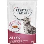 48x85g All Cats in Gelee Concept for Life Katzenfutter nass