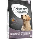 4x1kg Labrador Sterilised Concept for Life Hundefutter trocken