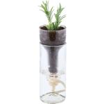 21 cm Runde Pflanzkübel & Blumentöpfe 21 cm aus Glas mit Wasserspeicher 5-teilig 
