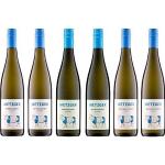 Deutsche Weißburgunder | Pinot Blanc Weißweine Probiersets & Probierpakete Pfalz 