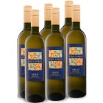Reduzierte Trockene Italienische Grillo Weißweine Sets & Geschenksets Sizilien & Sicilia 