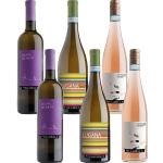 Italienische Pinot Grigio | Grauburgunder Weine Sets & Geschenksets 