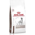 7 kg Royal Canin Hepatic - Hund