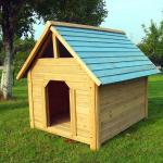 Blaue Mucola Hundehütten isoliert & Hundehütten wetterfest aus Holz 