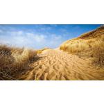 Sandfarbene AS Creation Fototapeten & Bildtapeten mit Strand-Motiv 