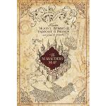 ABYstyle ABYDCO543 Harry Potter Marauder's Map Maxi-Poster 61 x 91,5 cm
