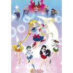 Reduzierte Sailor Moon Poster 