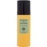 Acqua Di Parma, Parfum, Colonia Futura (Body Mist, 100 ml)