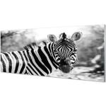 Retro Acrylbilder mit Tiermotiv aus Acrylglas 50x125 
