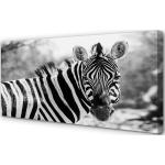 Retro Acrylbilder mit Tiermotiv aus Acrylglas 