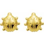 Goldene Marienkäfer Ohrringe mit Insekten-Motiv 