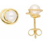Goldene Perlenohrstecker aus Gold mit Echte Perle für Damen 