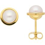 Goldene Adelia's Runde Perlenohrstecker aus Gold 14 Karat mit Echte Perle für Damen 