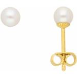 Goldene Perlenohrstecker aus Gold mit Echte Perle für Damen 
