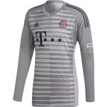 adidas 18/19 FC Bayern Goalkeeper Jersey GREY ONE F17/light granite/utility ivy, L